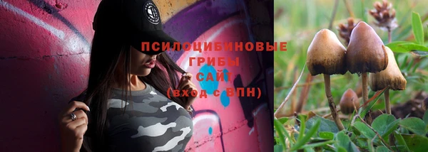 таблы Медногорск