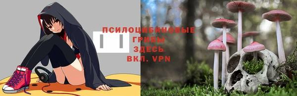 mdpv Медвежьегорск
