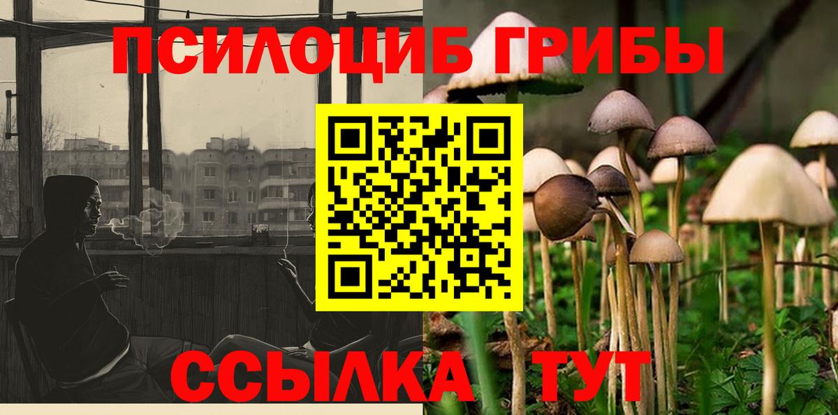 Галлюциногенные грибы Psilocybe  Зерноград 