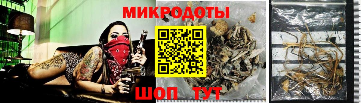 Псилоцибиновые грибы Cubensis Зерноград