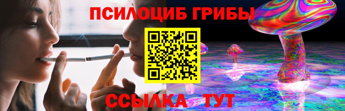 Галлюциногенные грибы прущие грибы Зерноград